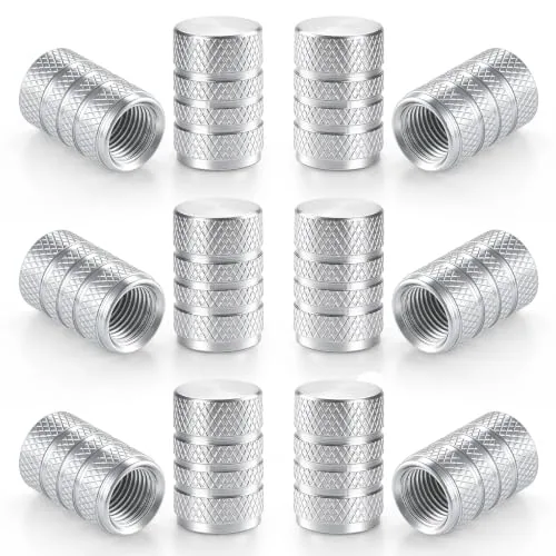 12 Piece Tire Valve Stem Caps, Silver