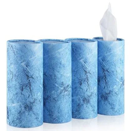 4 Piece Tissue Holder, Blue